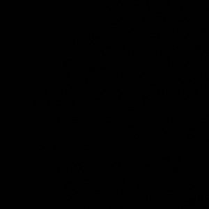 Meet your Posher, Maddy